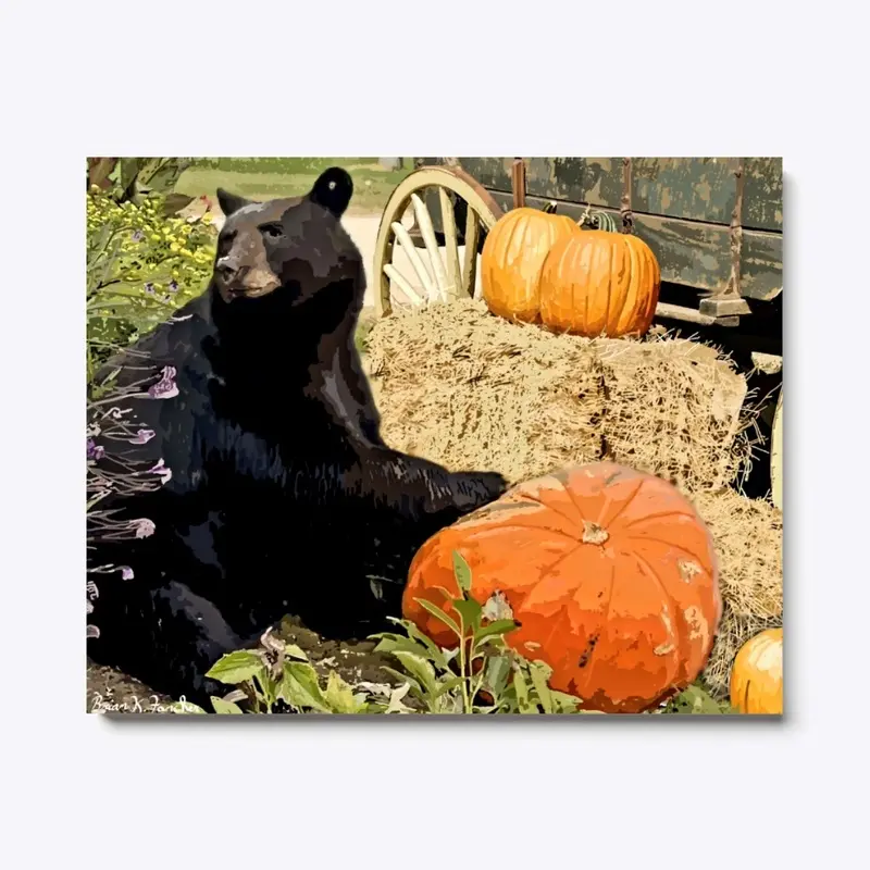 Fall Bear