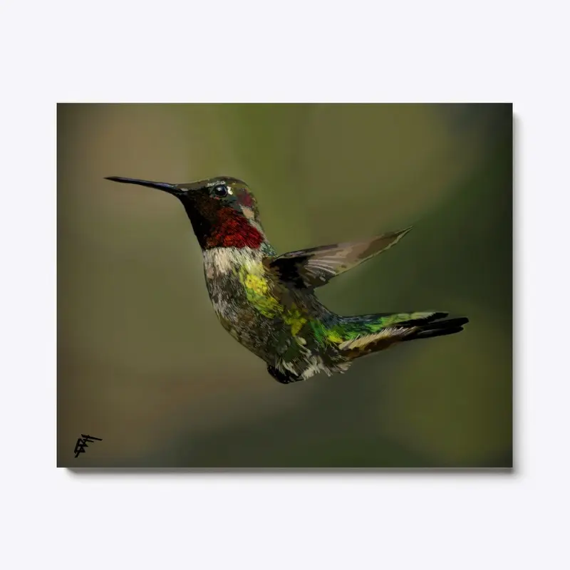 Hummingbird